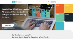 WP Engine Pros and Cons
