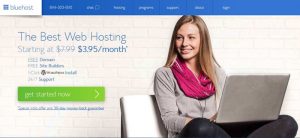 bluehost-pros-and-cons