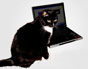 Web Hosting Cat Site Icon