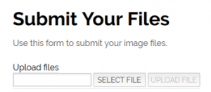 File Upload Page