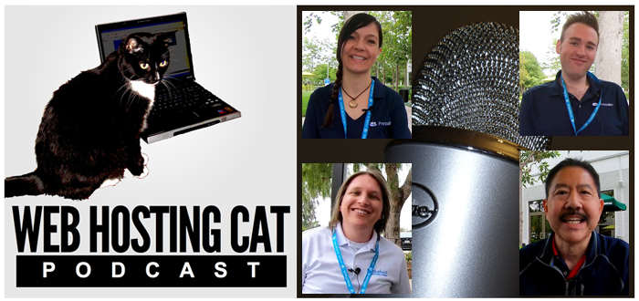 Web Hosting Cat Podcast Season 4 Episode 4