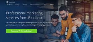 Bluehost Professional Services