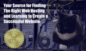 Web Hosting Cat