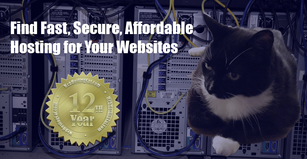 Web Hosting Cat 2024